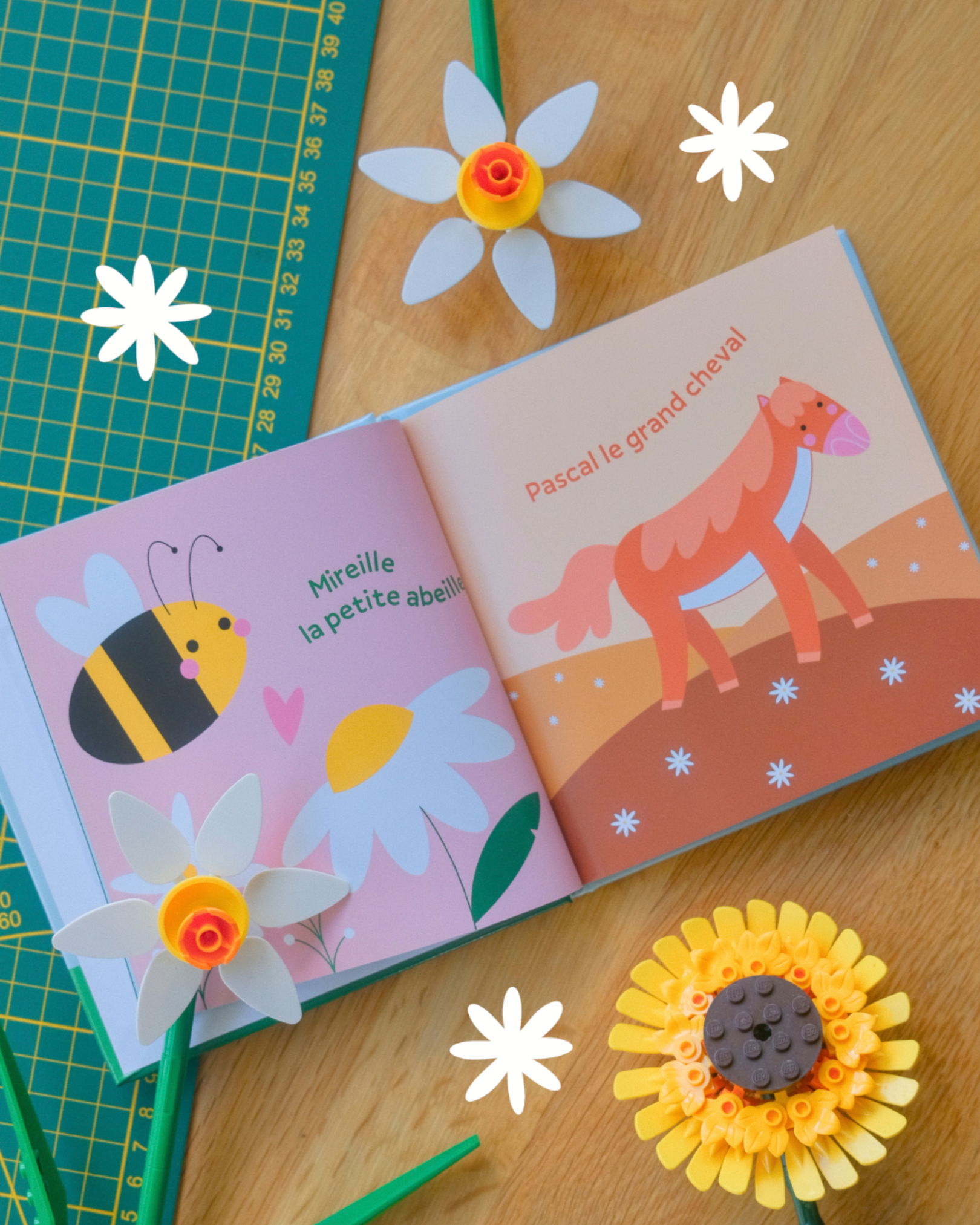 1_cecilia-frattini_steez_livre-pedagogique